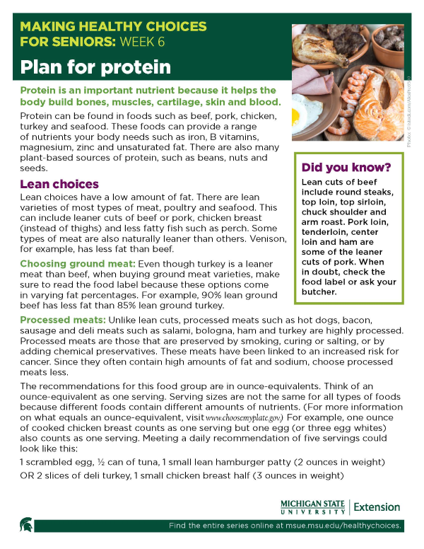 Thumbnail image of Making Healthy Choices for Seniors Newsletter Week 6: Plan for Protein