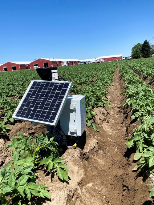 Photo of low-cost monitoring system in a potato field