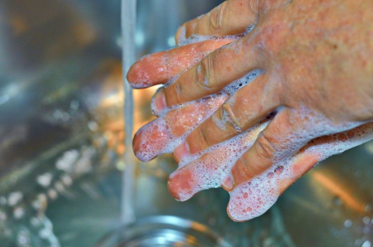 A pair of hands washing in a sink