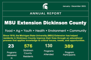 Dickinson County Annual Report: 2021-22