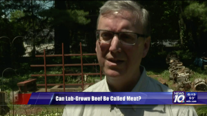 Fortin: Proposed Michigan Bill Does not Mean that Lab Grown Meat Cannot be Labeled as “Meat”
