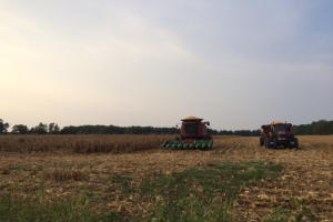 Southwest Michigan field crops update – Sept. 16, 2021