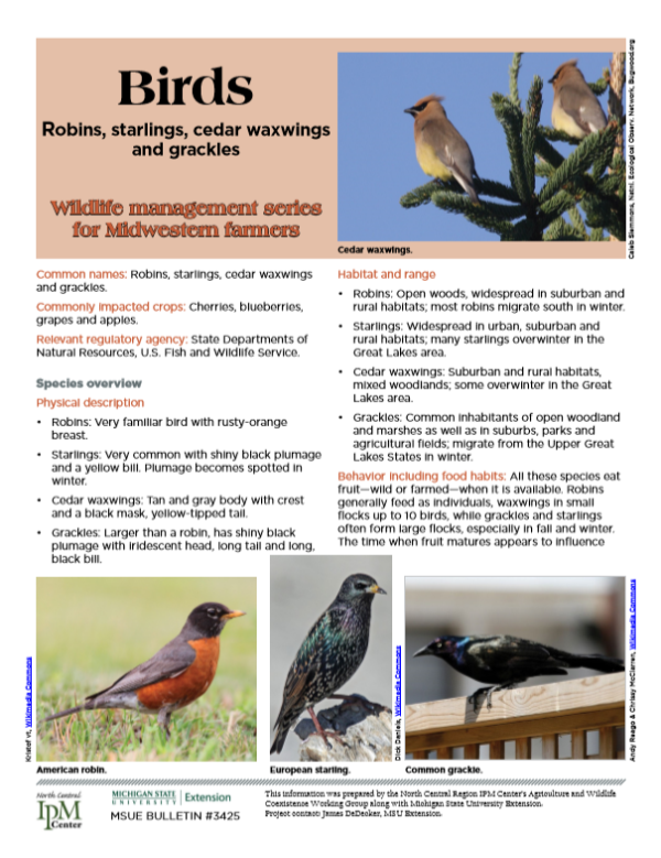 Photo of first page of Birds article.