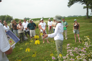 Discover best plants to support beneficial insects at upcoming field day