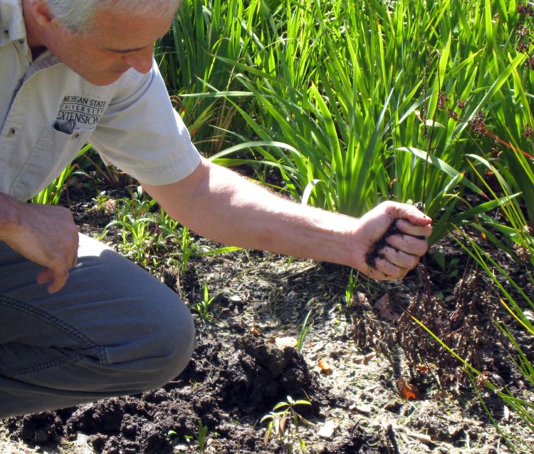 Compressing soil into a ball. Photo by Joy Landis, MSU