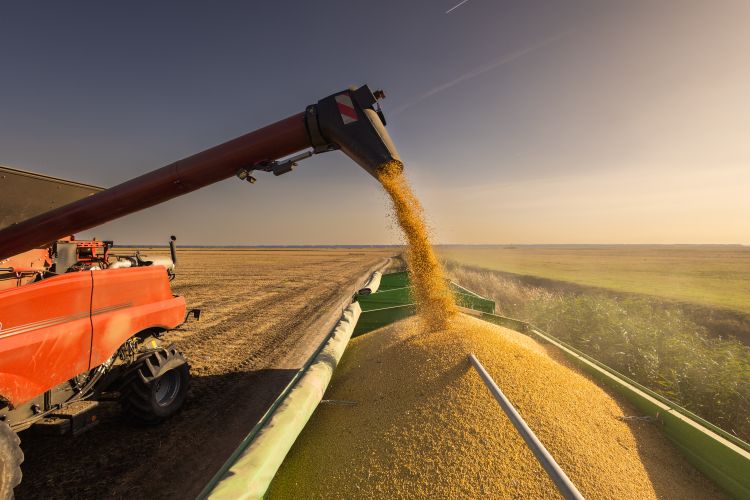 A farmer sits in the cab of a tractor equipped with multiple digital displays and control screens, monitoring precision agriculture equipment. Through the windshield, another large red farming machine is visible working in a field at sunset.