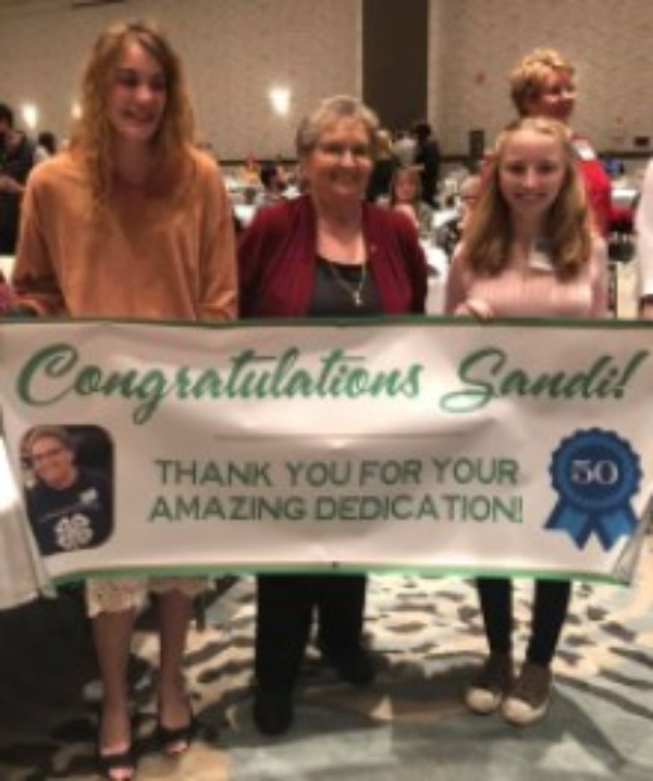 Sandi Pyle was this year's recipient of the Friend of Extension Award at the 2019 MSU Extension Fall Conference in Traverse City.