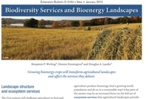 Biodiversity Services and Bioenergy Landscapes (E3164)