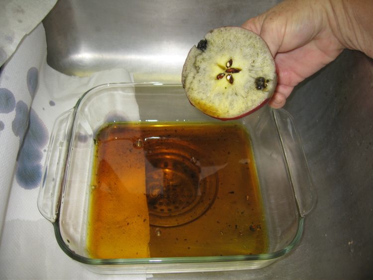 An apple cut in half about to be dipped in a watery solution.