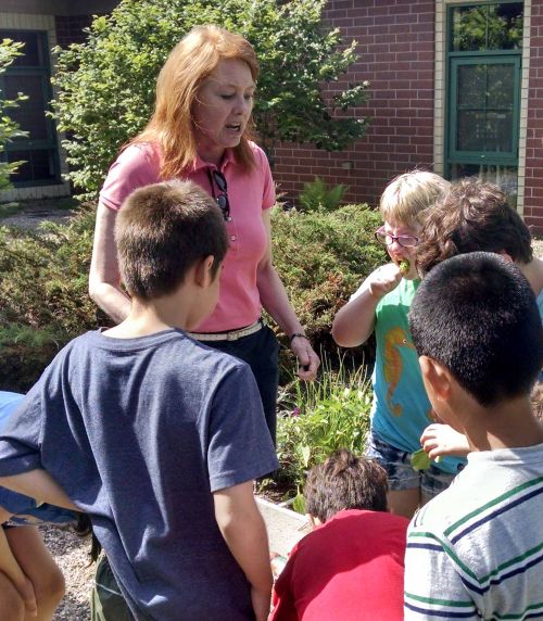 Master Gardener trainee, Liz Slajus, directs childcare students to observe and taste test the lettuce they are growing. Photo by Rebecca Krans, MSU Extension