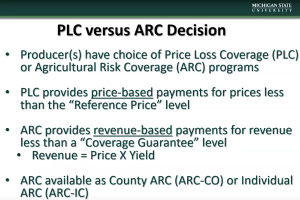 Msu Arc Plc Calculator How To Maximize Your Arc Ic Payment Part 8 Farm Management