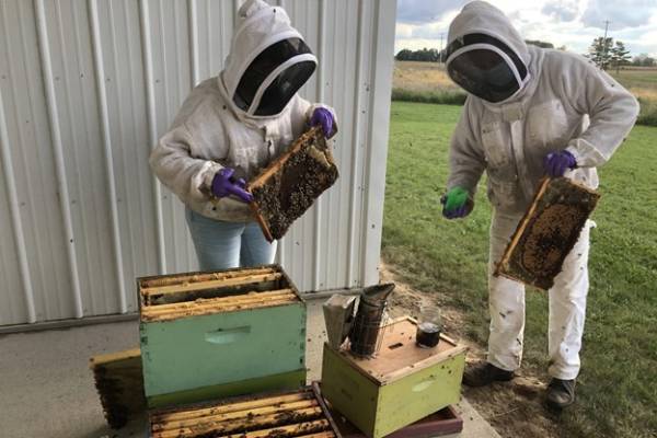 Small-Scale Beekeepers Earn More With Best Management Practices