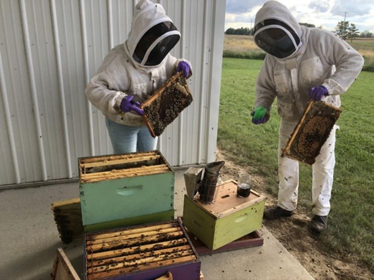 2023 Needs assessment of Michigan small-scale beekeepers