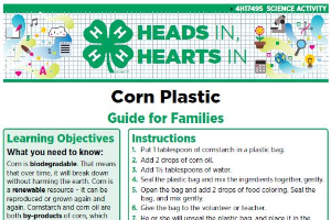 Heads In, Hearts In: Corn Plastic