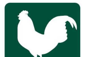Egg & Special Contest Alternatives to Live Bird Activities at 4-H & Youth Poultry-Related Shows & Events