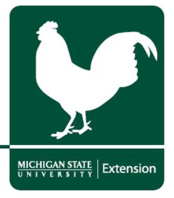breed-class-fitting-showmanship-alternatives-to-live-bird