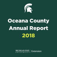 county annual report graphic