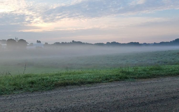 Early morning fog