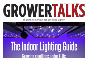 The indoor lighting guide: Growing seedlings under LEDs