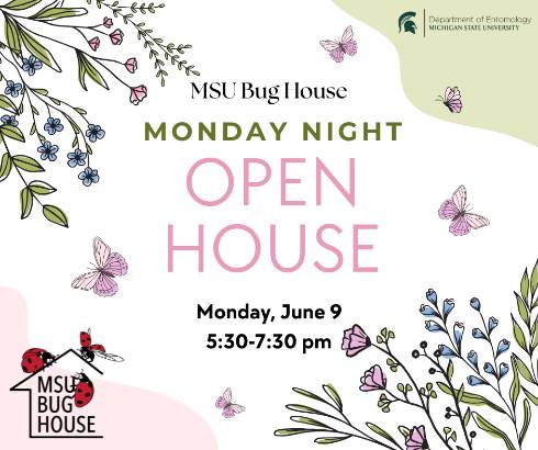 Flowers and butterflies frame text that reads 