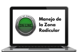 College of Knowledge: Manejo de la Zona Radicular