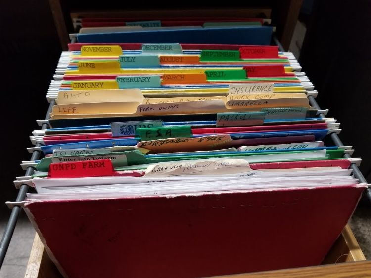 A filing cabinet of files for record keeping.