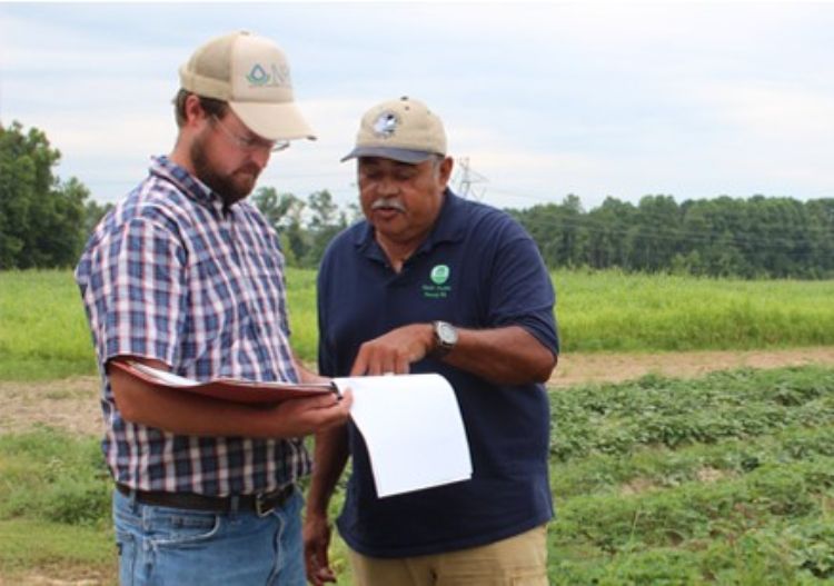 Two individuals discussing conservation planning in a field of crops.