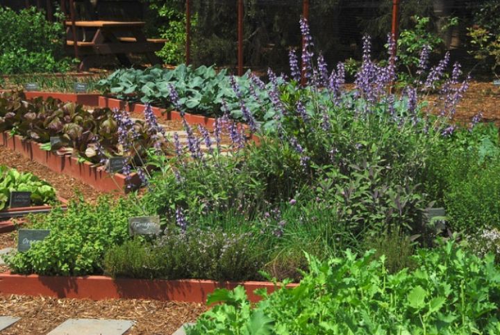 Smart Vegetable Gardening 101 Webinars Now Offered April May Gardening In Michigan