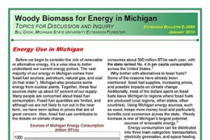 Woody Biomass for Energy in Michigan: Energy Use in Michigan (E3085)