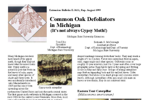 Common Oak Defoliators in Michigan (It's Not Always Gypsy Moth!) (E2633)