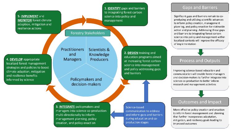 Logical framework diagram outlining a five-step process to inform forest carbon outcomes by identifying gaps and barriers and then address those gaps through education and science-based communication.