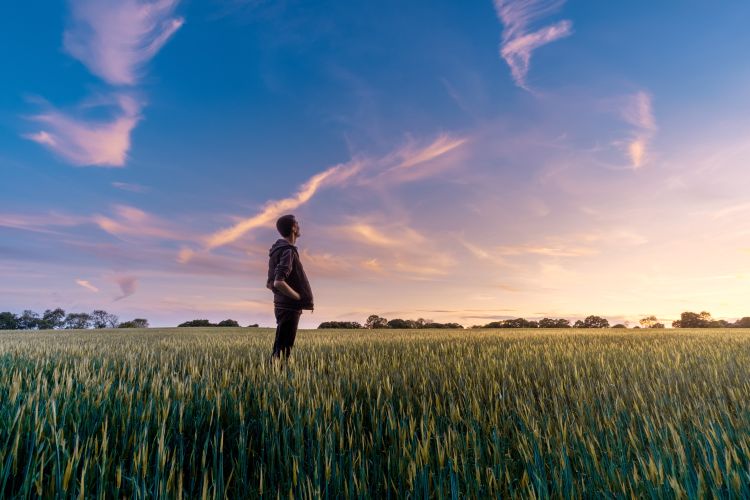 Young man stands in a field of crops at sunset, looking up at the colorful pink, orange, and blue sky.