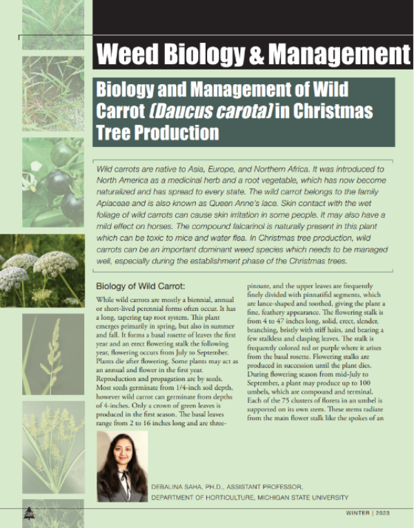 A photo of the first page of the resource.