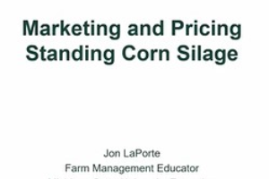 Marketing and Pricing Standing Corn Silage