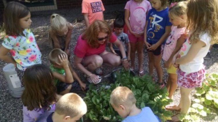 Elizabeth Slajus, Advanced Master Gardener, helps youth harvest the fresh greens they helped grow. | Photo by: Rebecca Krans, MSU Extension