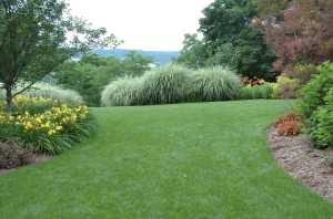 HRT 417: Sustainable Sites and Environmental Landscape ...