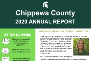 Chippewa County ANNUAL REPORT: 2020