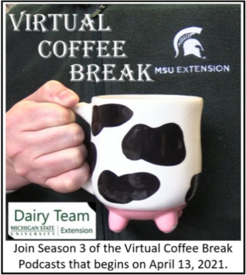 Cow mug with dairy team and MSU logos.