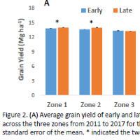 Average dry yield of early and late maturing hybrids