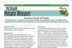 Potato Diseases: Common Scab of Potato (E2990)
