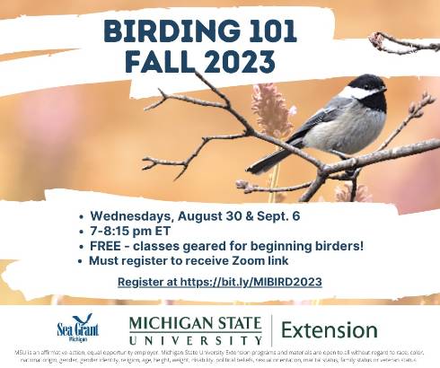 Promotional flyer for Birding 101