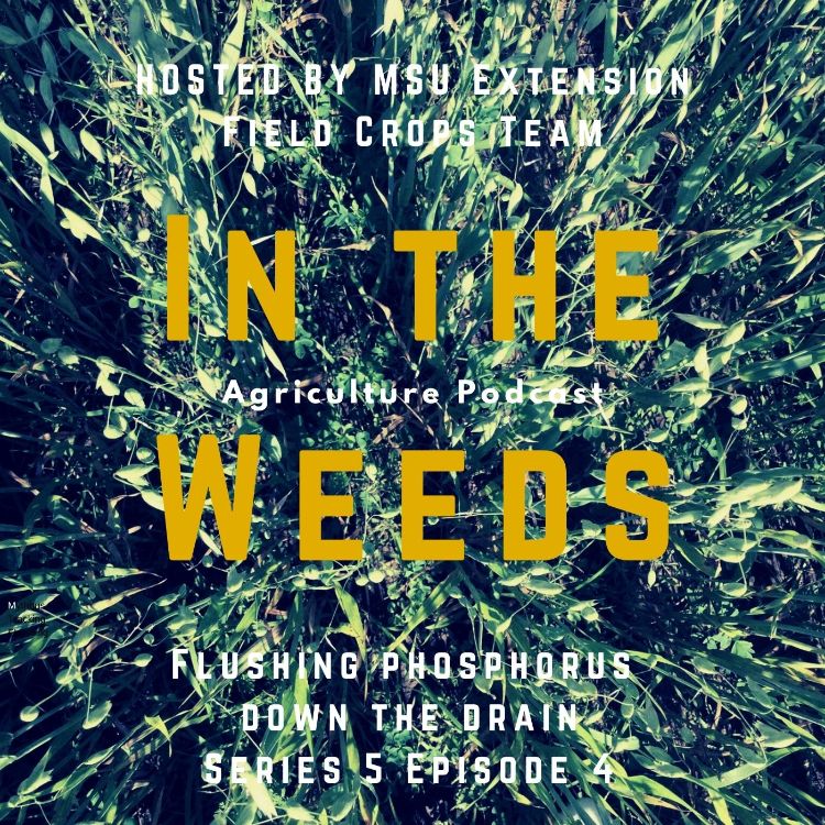 In the Weeds graphic