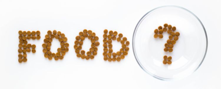 The word Food spelled out
