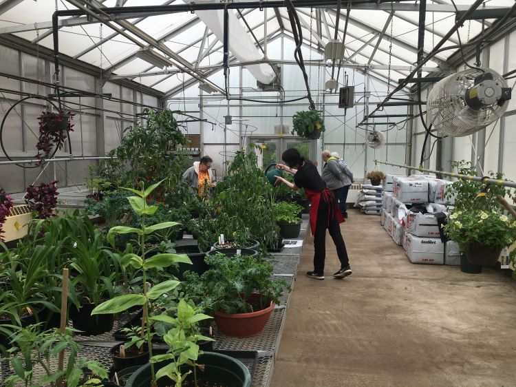 How Do I Start An Educational Greenhouse At School Floriculture Greenhouse Crop Production