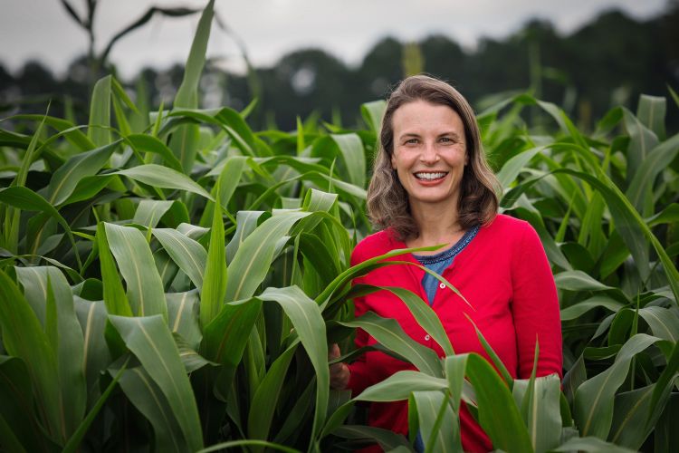 Hannah Burrack, Ph.D., in field of corn.
