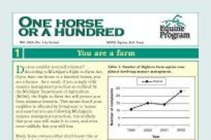 One Horse or a Hundred-You are a Farmer (WO1018)