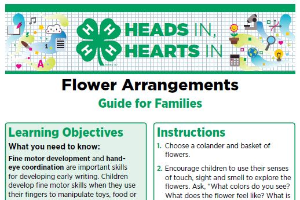 Heads In, Hearts In: Flower Arrangements