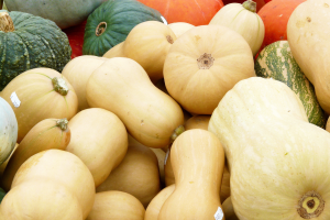 Plant Science at the dinner table: winter squash