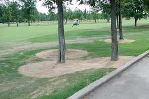 Understanding Roundup Products Turf