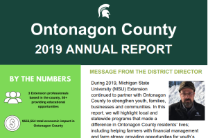 Ontonagon County Annual Report: 2019-20
